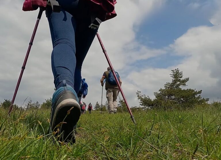 prikaz osoba koje šetaju po planini