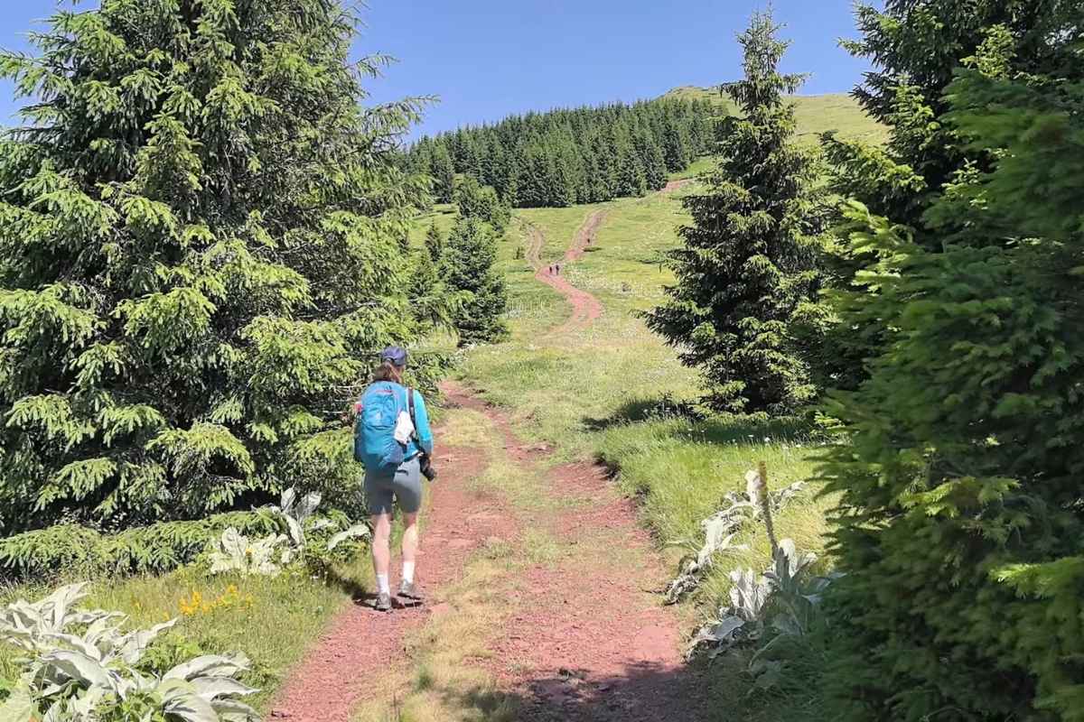 devojka šeta na staroj planini